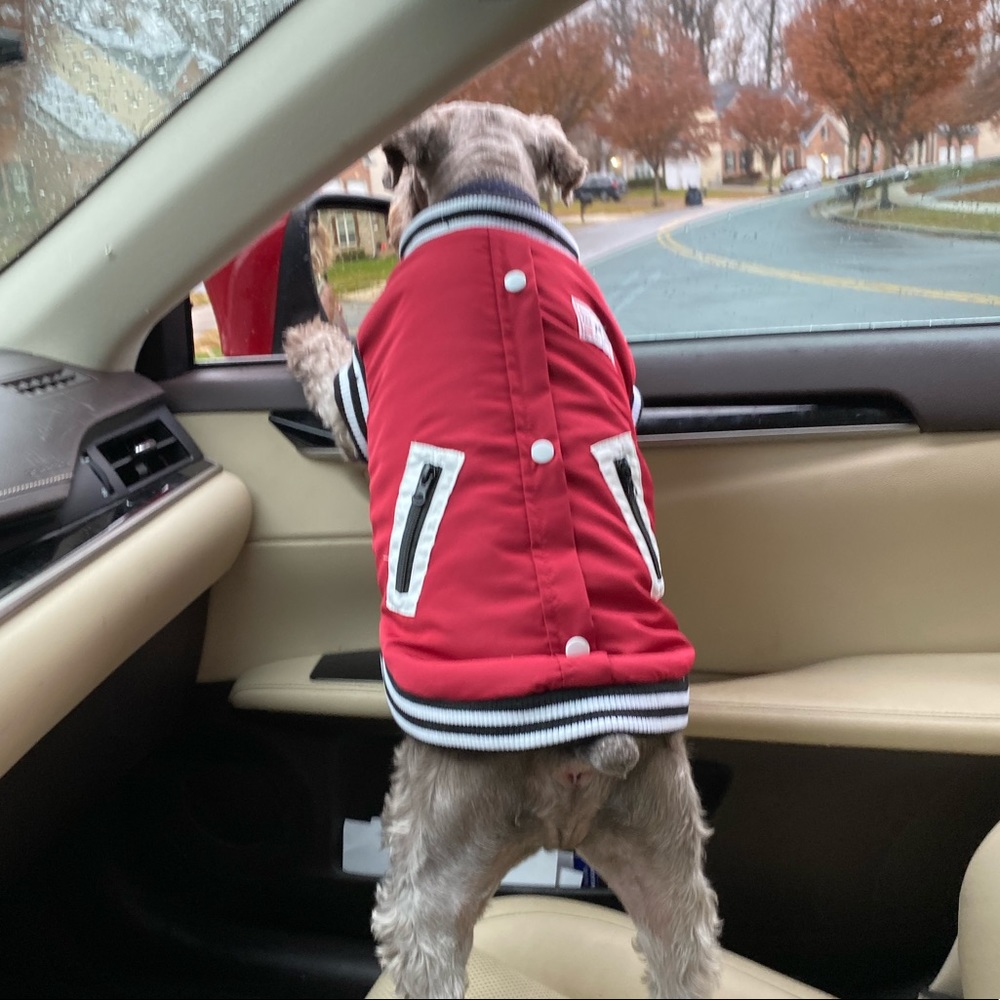 Dog Varsity Jacket - Picture 3 of 13